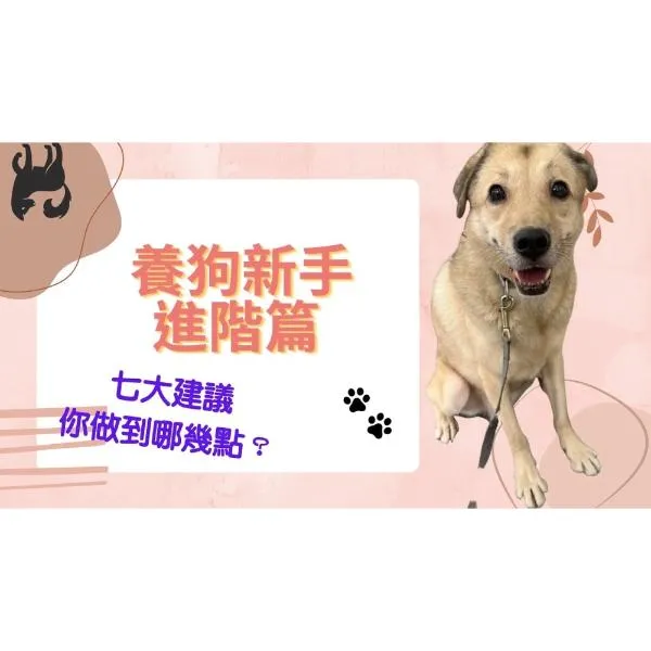 【新手進階篇】養狗後的七大建議！你做到了哪幾點呢？