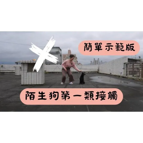 【S蓋】簡單示範版！陌生狗第一類接觸。第一次接觸陌生狗狗該怎麼做？
