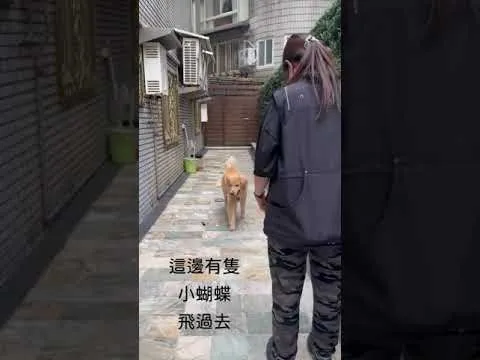 日常基礎訓練