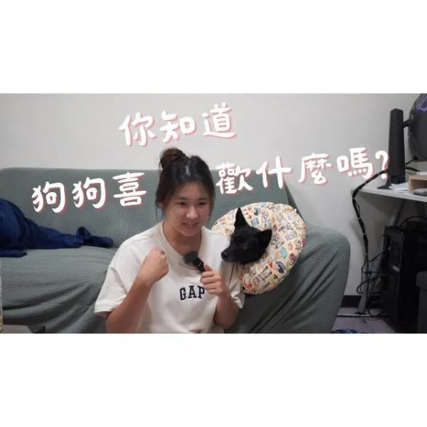 【S蓋】你知道狗狗喜歡什麼嗎？你知道狗狗對什麼有興趣嗎？注意力是這樣來的！