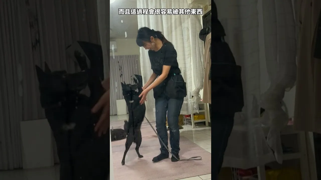 進一步的專注