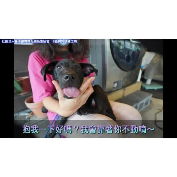 「一點」找家中｜簡單訓練，等你一起繼續陪牠學習｜社團法人臺灣張媽媽毛孩新生協會
