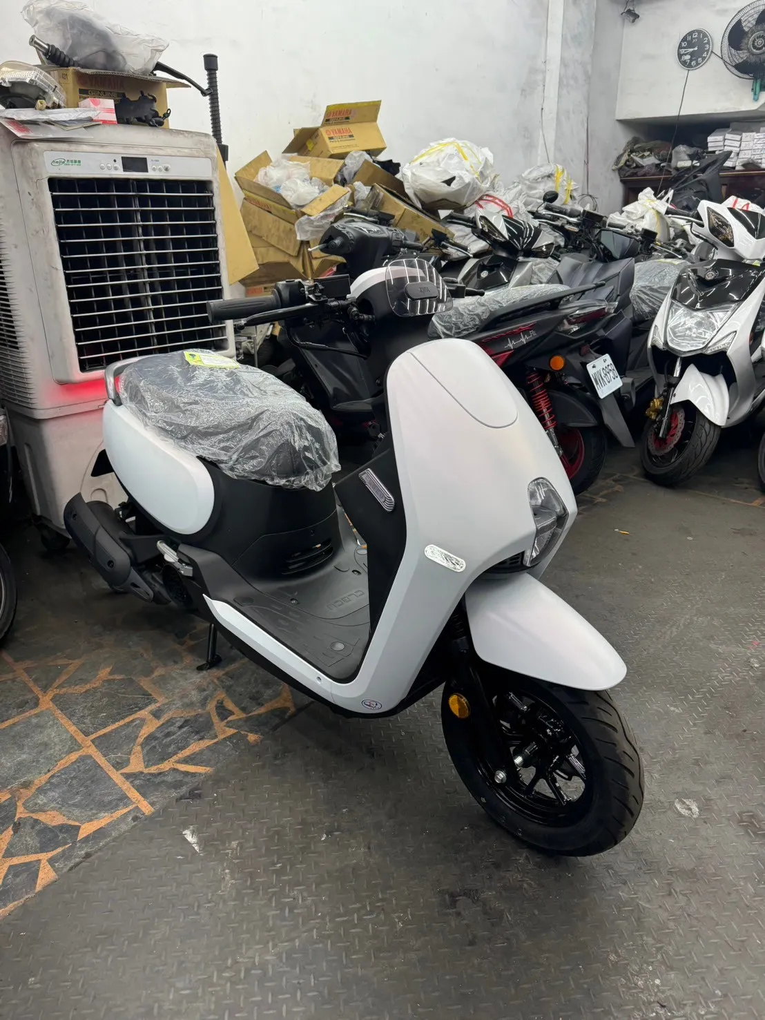 三陽 2023年 蜂鳥 CLBCU  125cc