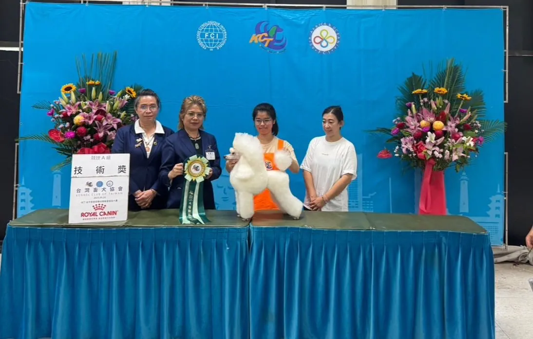 【2025 KCT 台中美容師競技暨創意造型大賽】