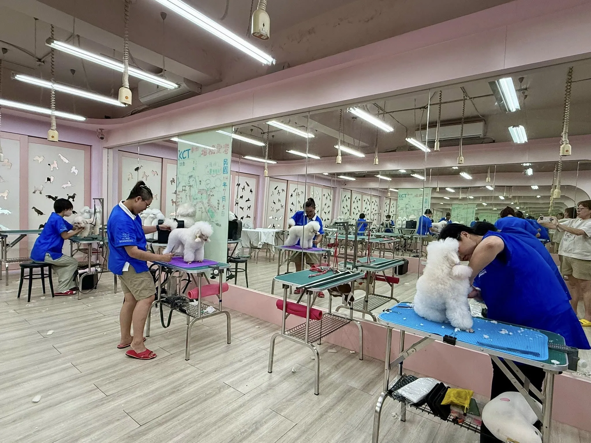 假日班、歡迎在職者學習第二專長