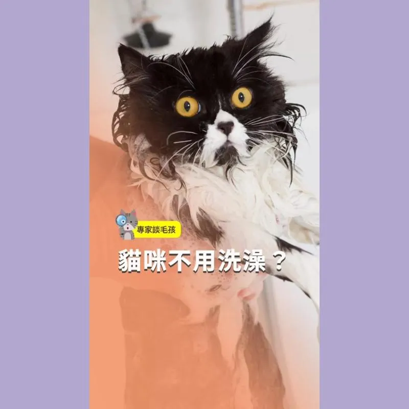 本學苑的主理人接受專訪