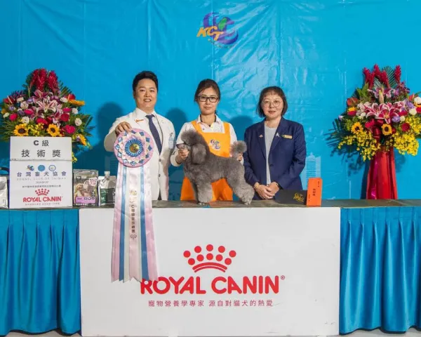本學苑老師王家芳通過教師級拔毛犬組合格通過