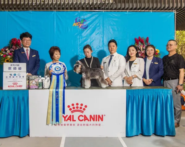 本學苑老師王家芳通過教師級拔毛犬組合格通過