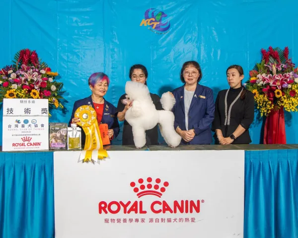 本學苑老師王家芳通過教師級拔毛犬組合格通過