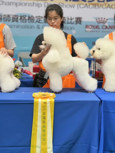 2024.08.17 KCT 苗栗美容師資格檢定