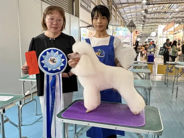 2024 KCT 台中美容師競技暨創意造型比賽