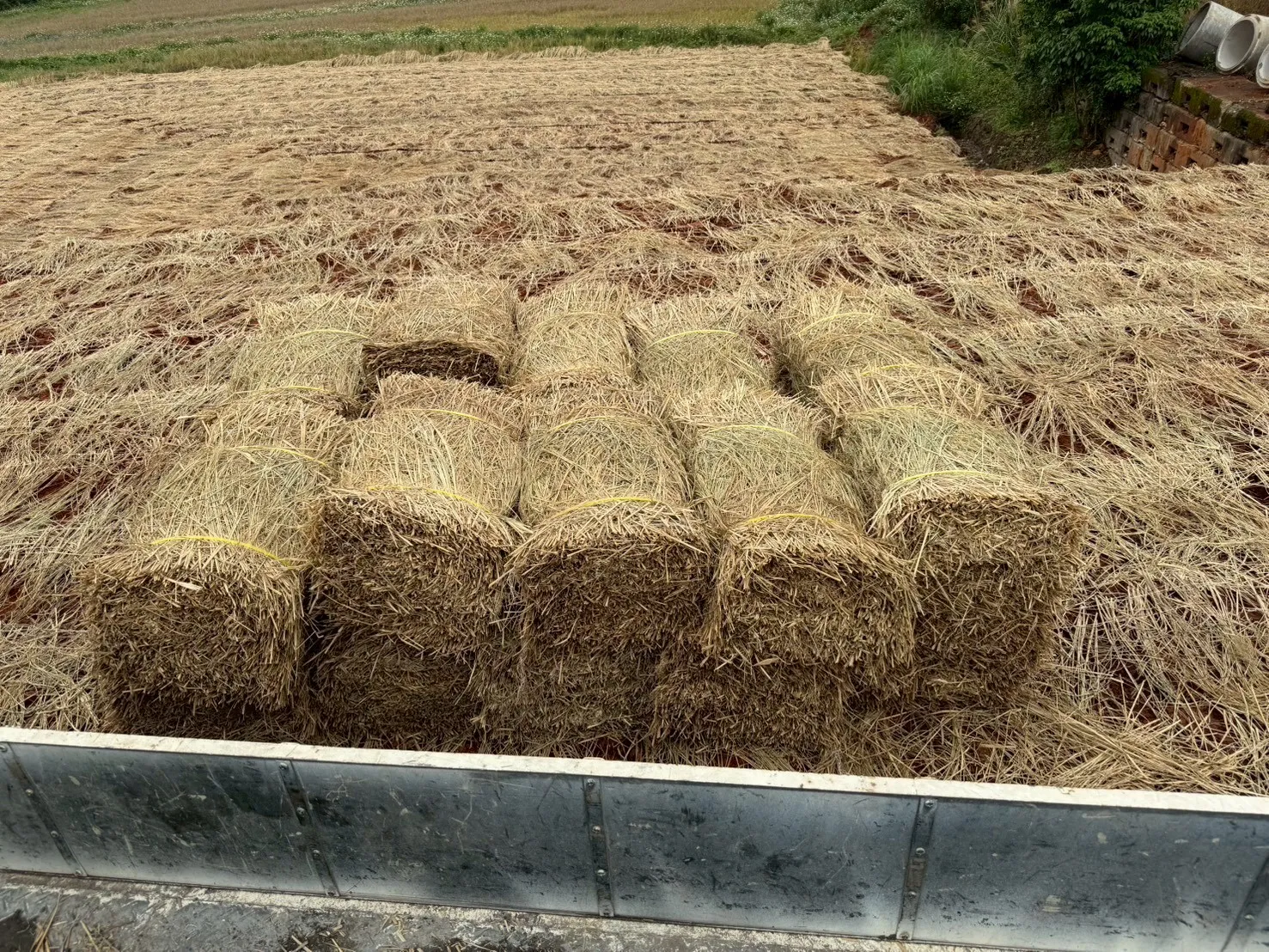 稻草蓆用途是什麼？
