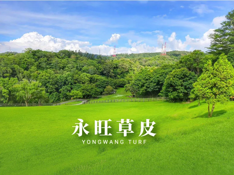 稻草蓆