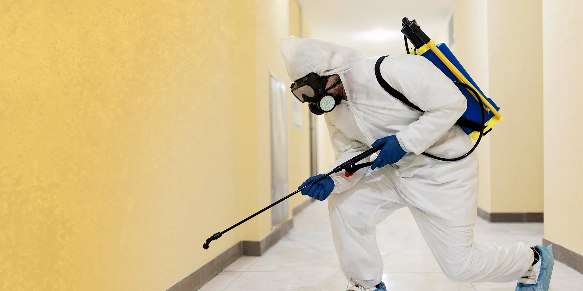 崧騰病媒防治-消毒公司,除蟲公司,高雄消毒公司,鳳山消毒公司