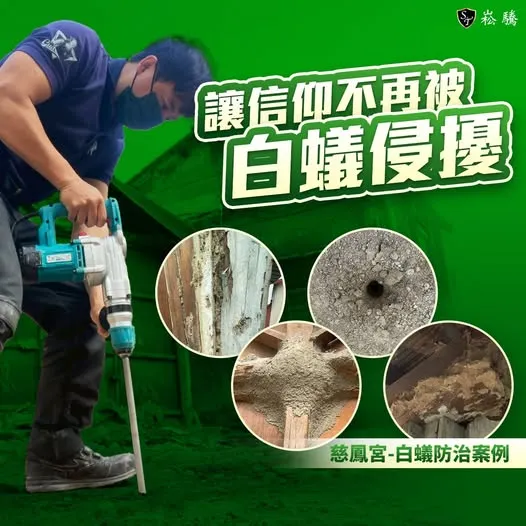 白蟻，是個隱形的破壞者，對我們的信仰中心造成了嚴重的潛在威脅。