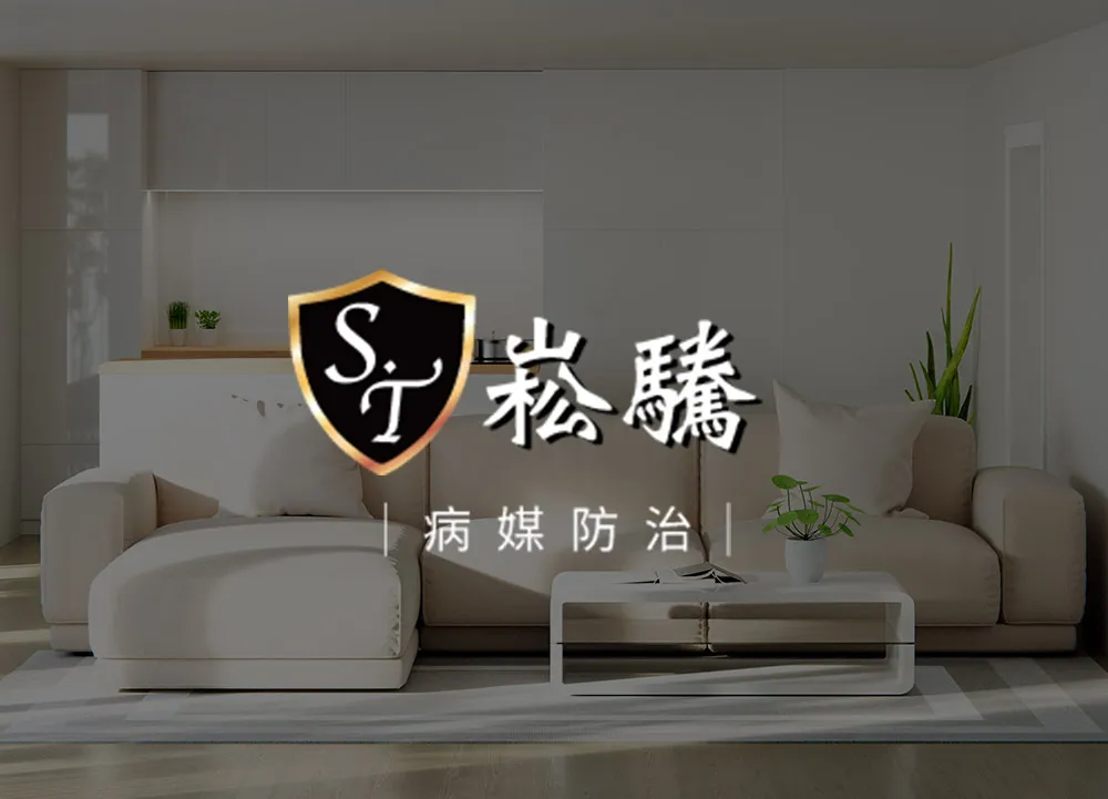 白蟻為什麼會出現？