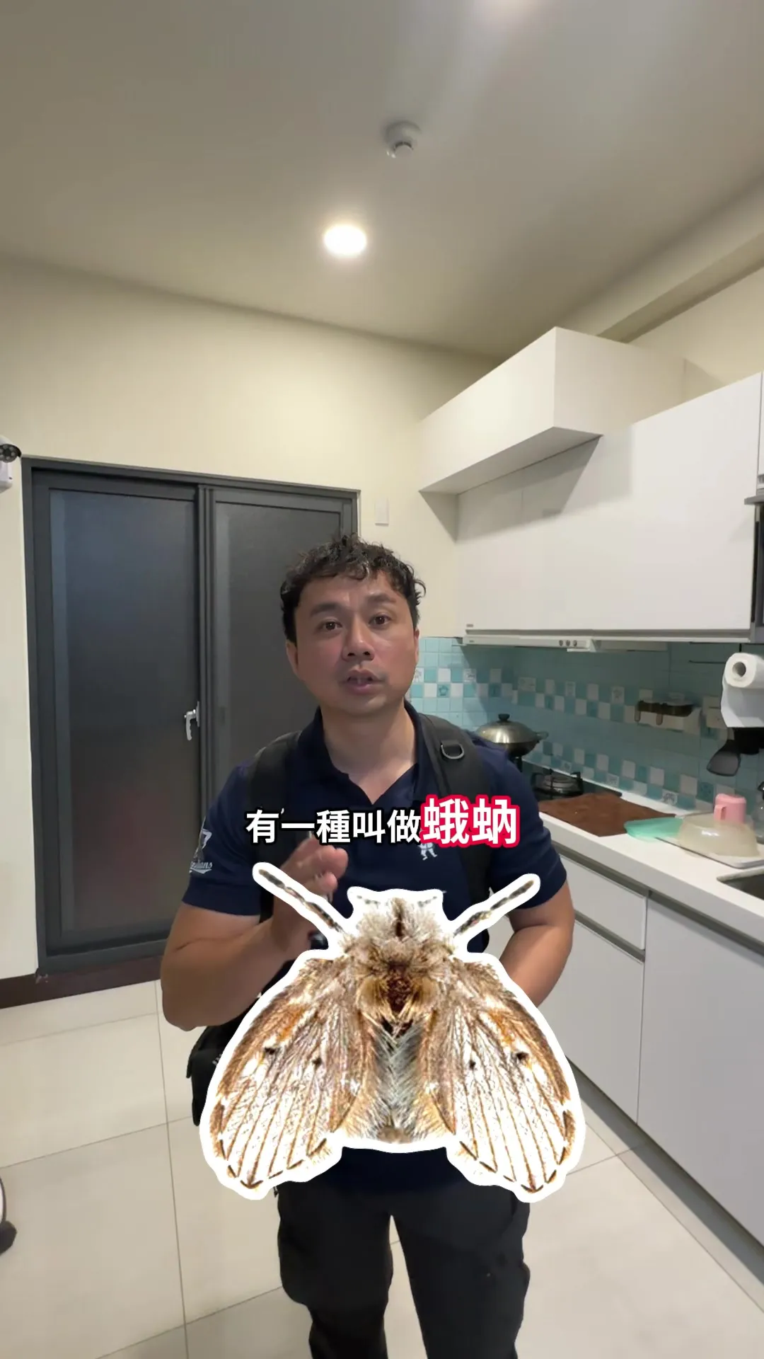 家中的好昆蟲和壞昆蟲 #滅蟲小秋 #余秋麟 #害蟲 #清潔 #衛生