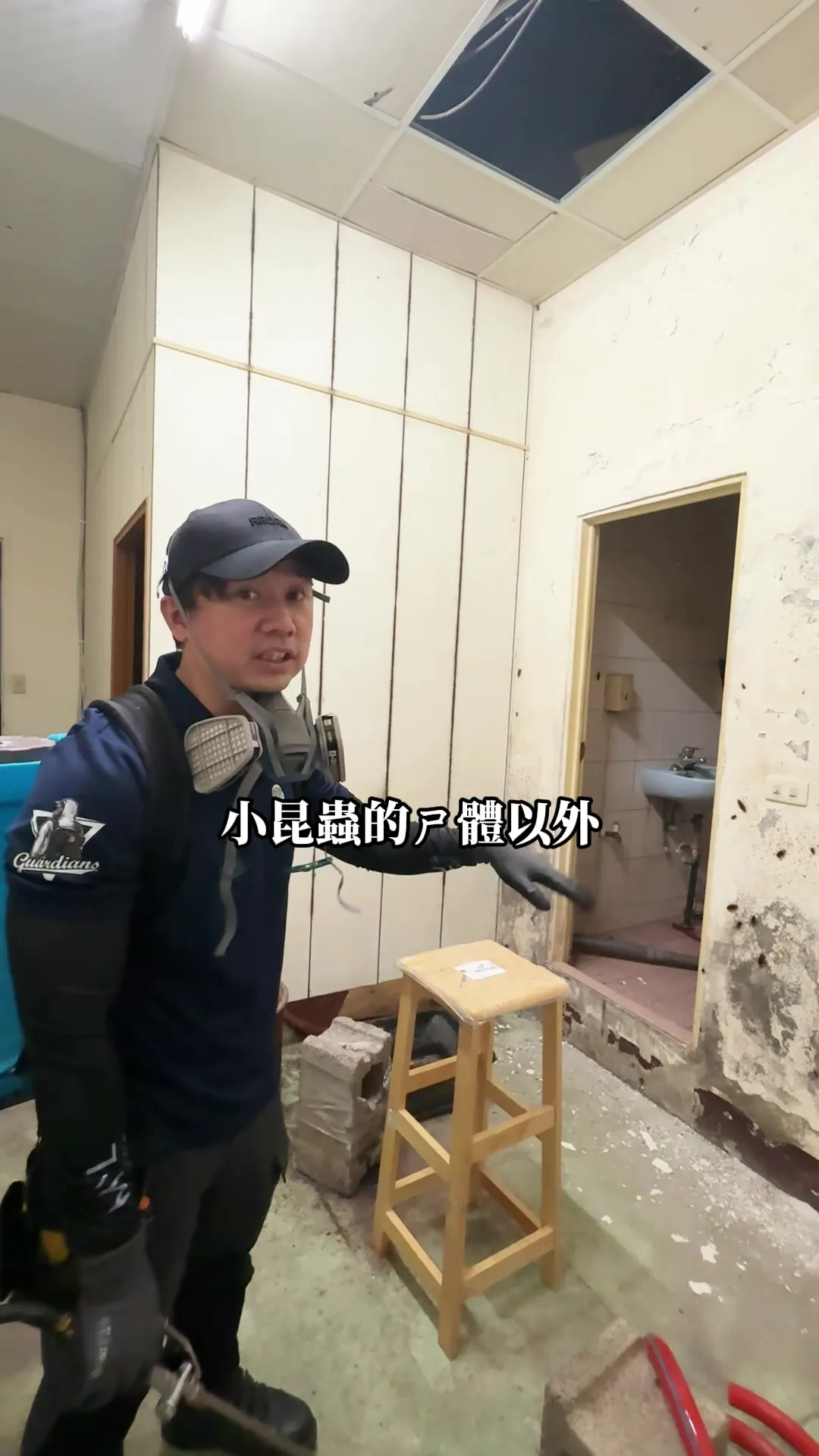 吃點便便熊幫你通一下 #滅蟲小秋 #余秋麟 #害蟲 #清潔 #衛生