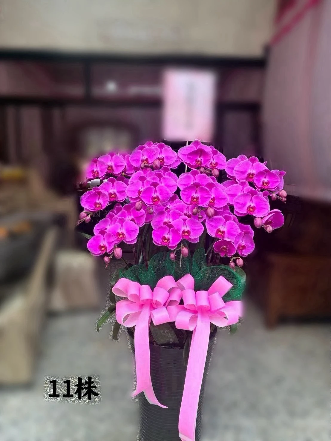 高盆蘭花、水母蘭花（皆可依歲數調配顏色）