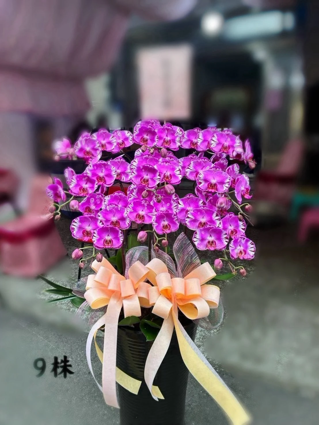 高盆蘭花、水母蘭花（皆可依歲數調配顏色）