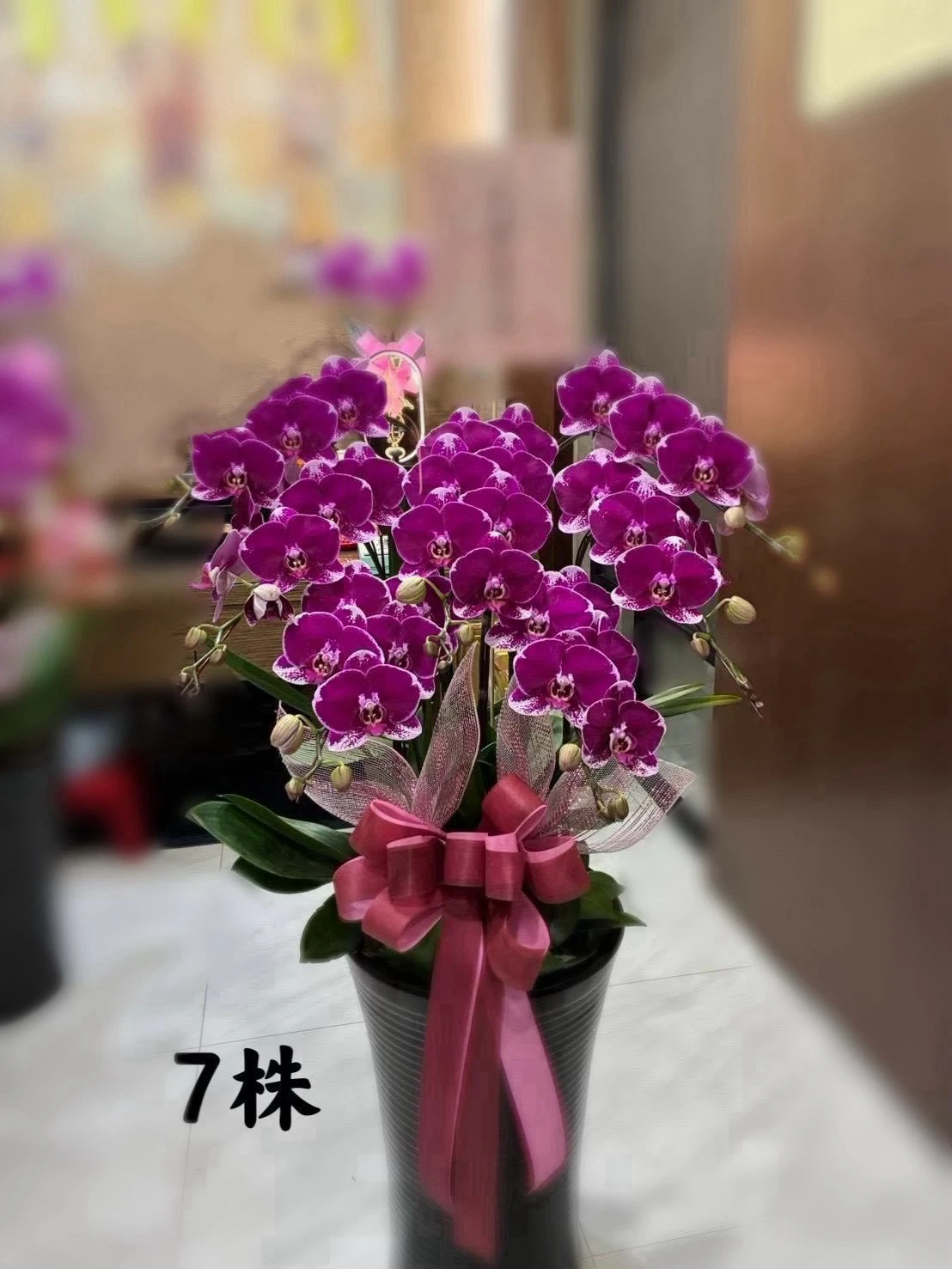 高盆蘭花、水母蘭花（皆可依歲數調配顏色）