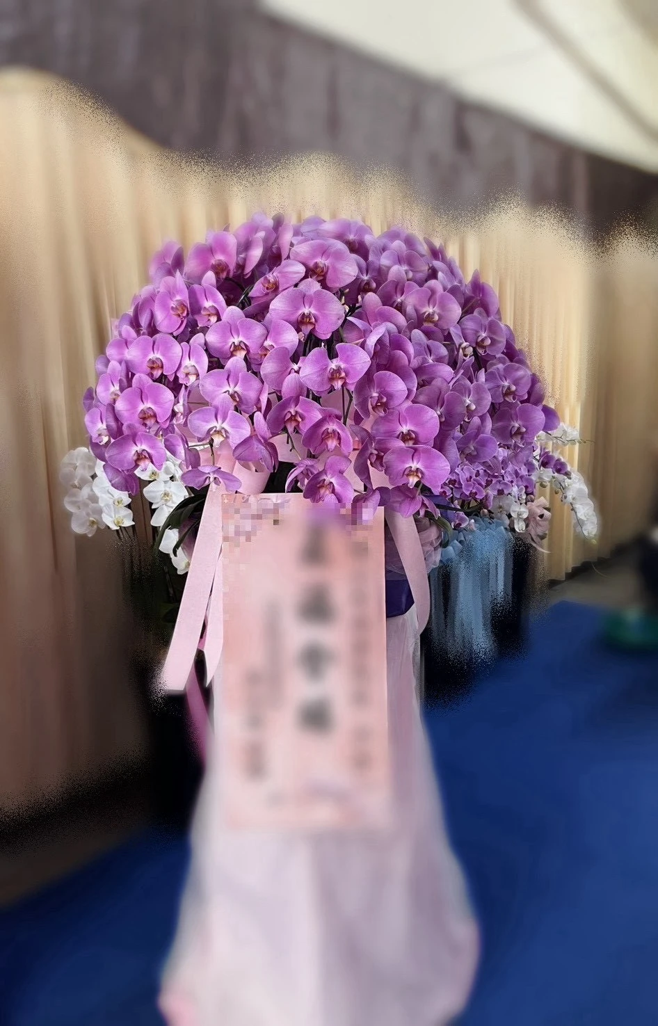高盆蘭花、水母蘭花（皆可依歲數調配顏色）