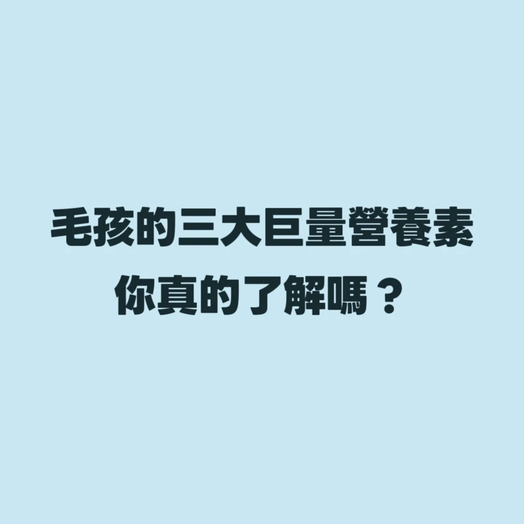 毛孩的三大巨量營養素，你真的了解嗎？