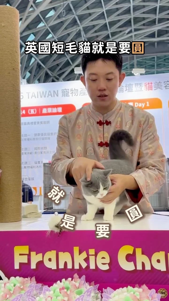 人也要圓