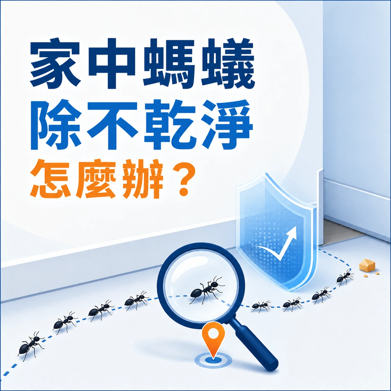 家中螞蟻除不乾淨怎麼辦？