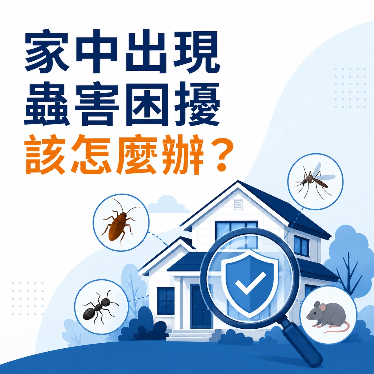 家中出現蟲害困擾該怎麼辦？