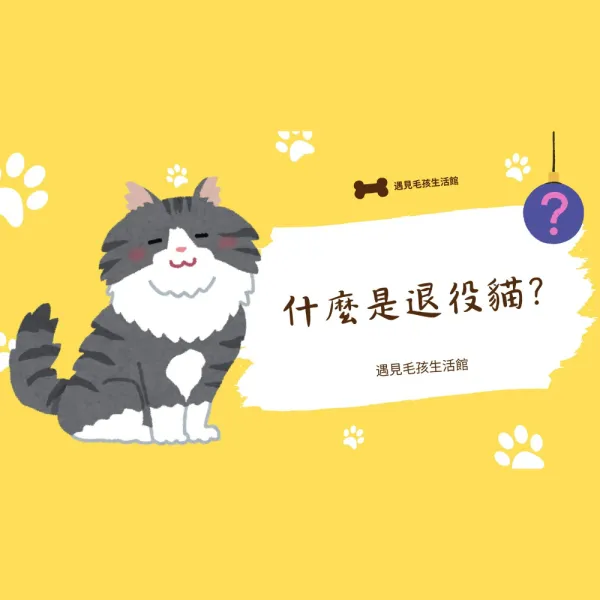 什麼是退役貓?