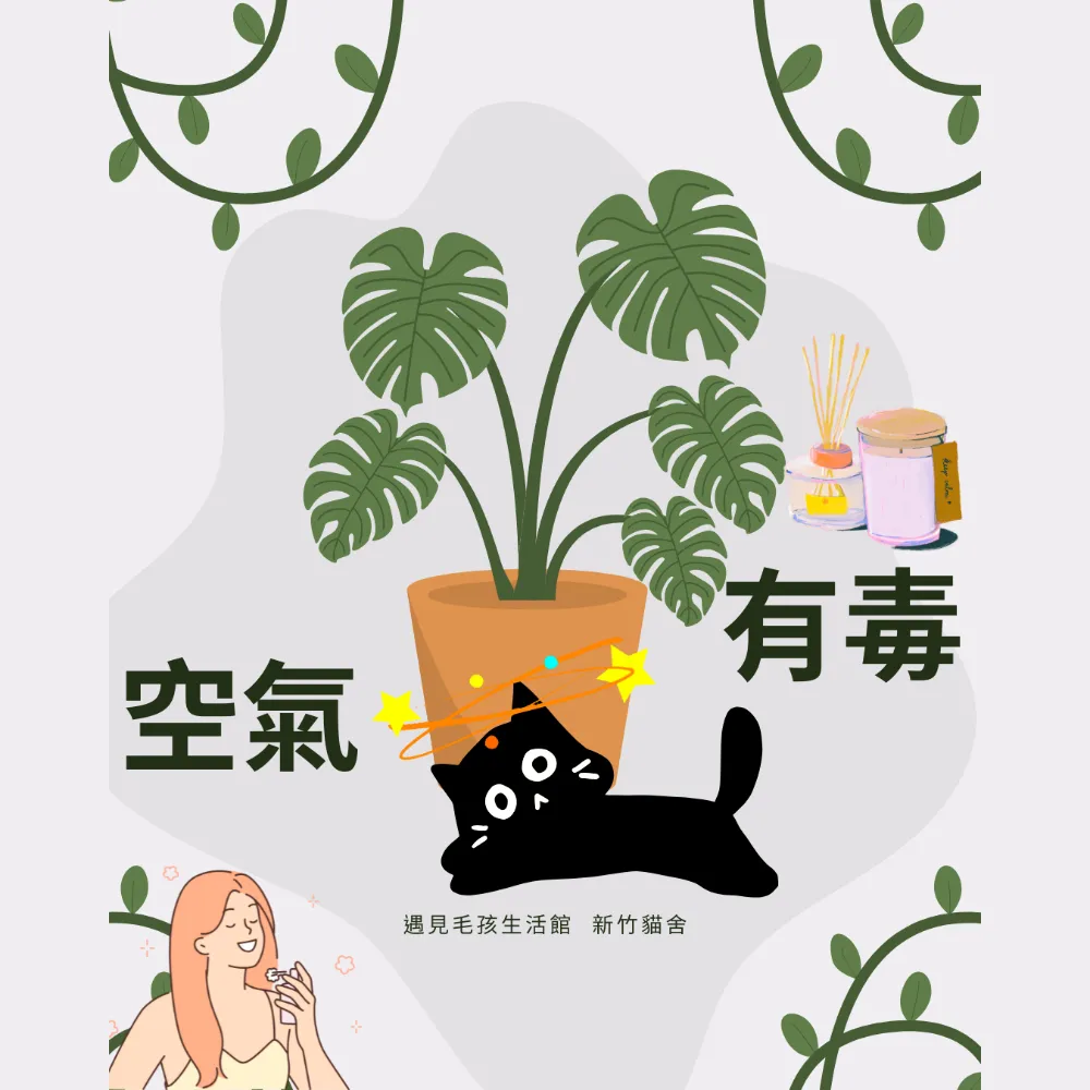 空氣有毒