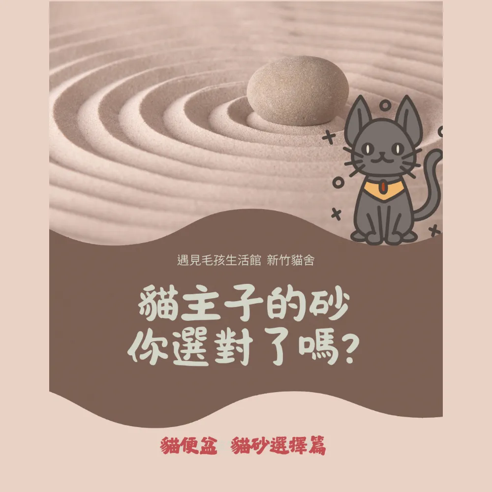 貓主子的砂 你選對了嗎?