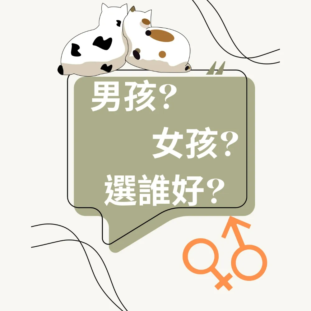 男孩? 女孩? 選誰好? ｜貓舍｜新竹貓舍