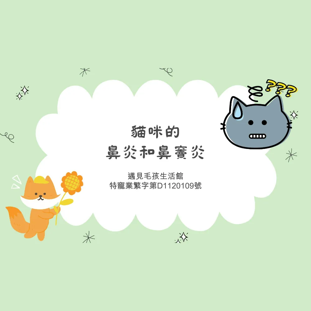 貓咪的鼻炎和鼻竇炎