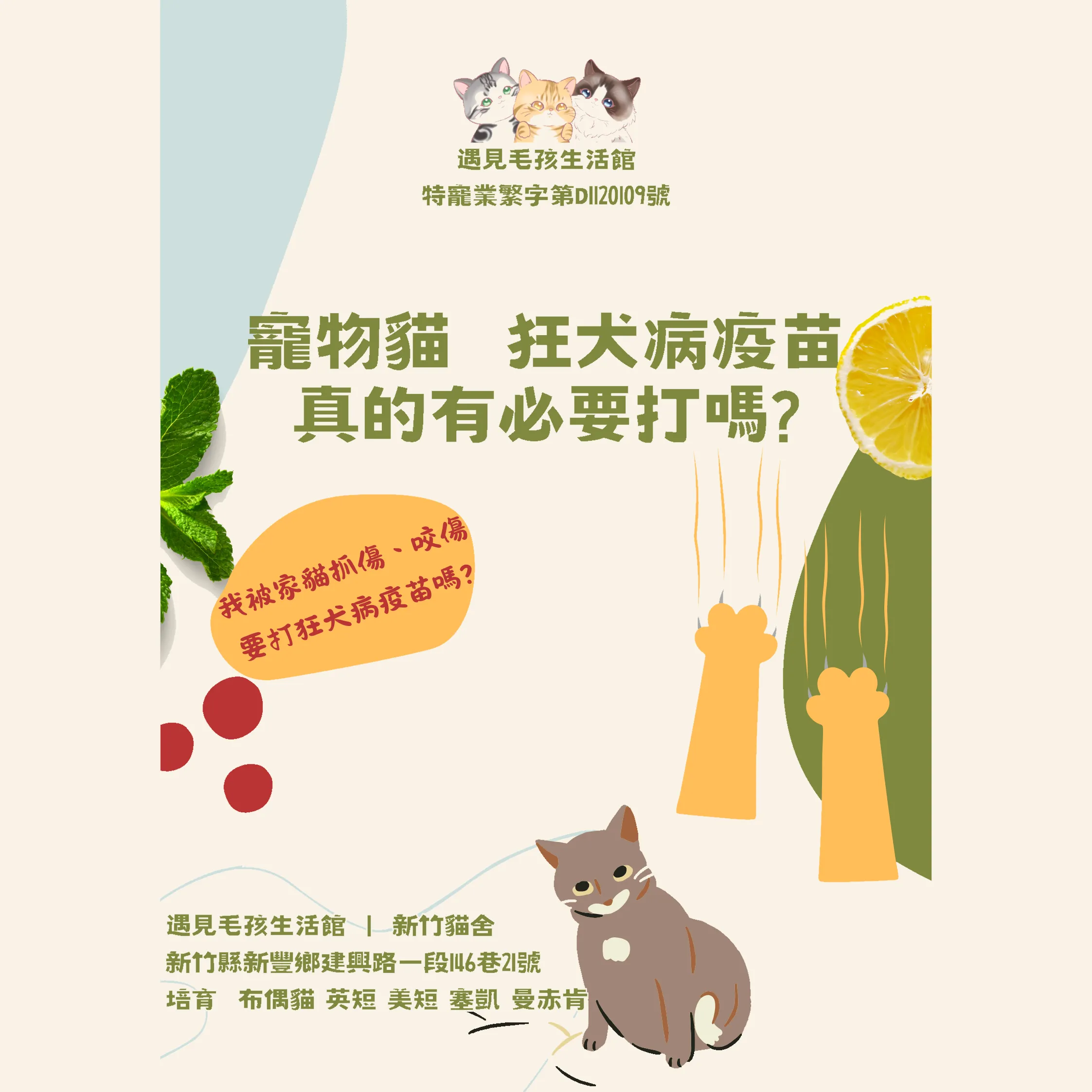 寵物貓 狂犬病疫苗真的有必要打嗎?
