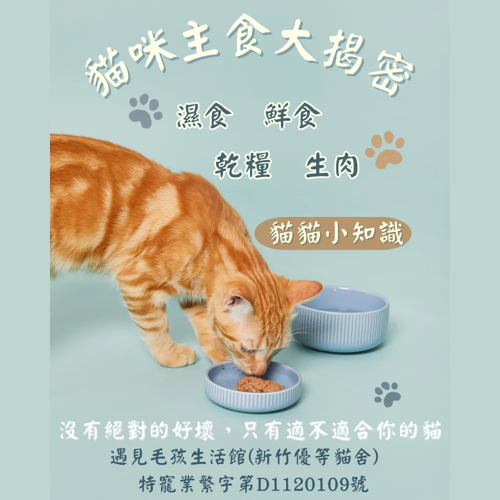 貓咪主食大揭密