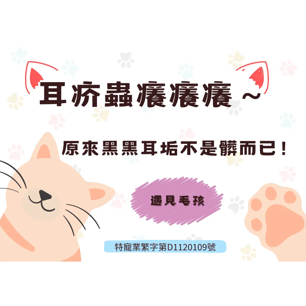 耳疥蟲癢癢癢~原來黑黑耳垢不是髒而已!