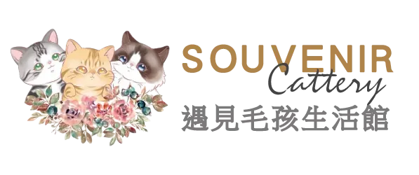 本店目前僅此一家，沒有任何分店