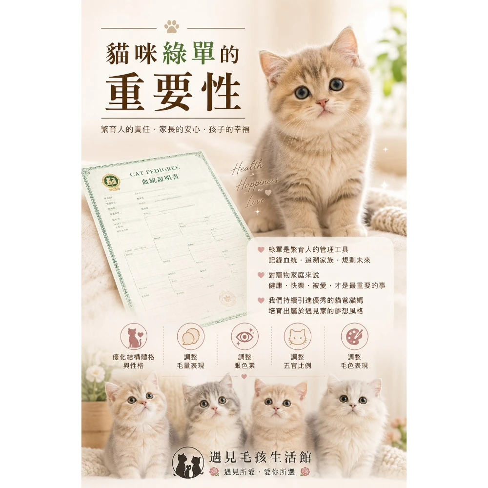 貓咪綠單的重要性
