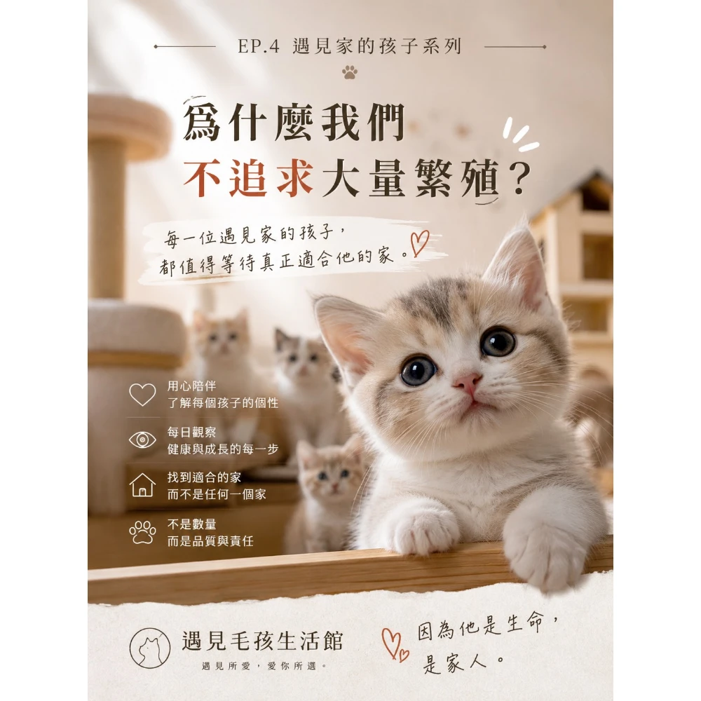 為什麼我們不追求大量繁殖？