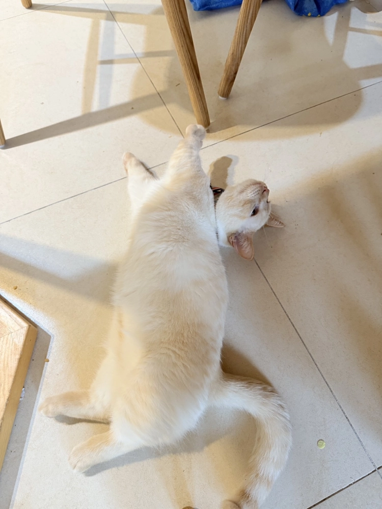 家長分享