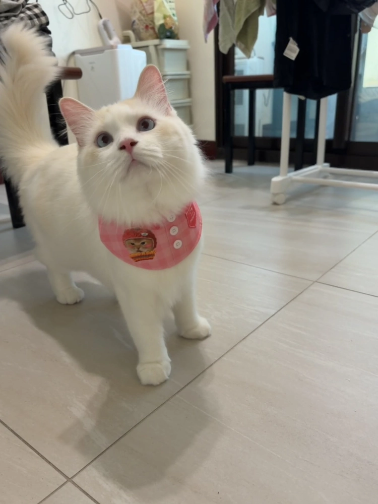 家長分享