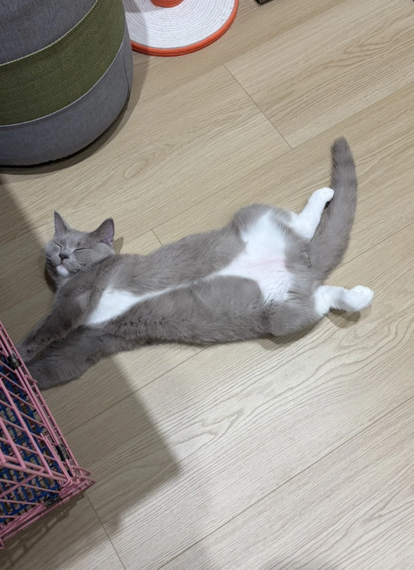 家長分享