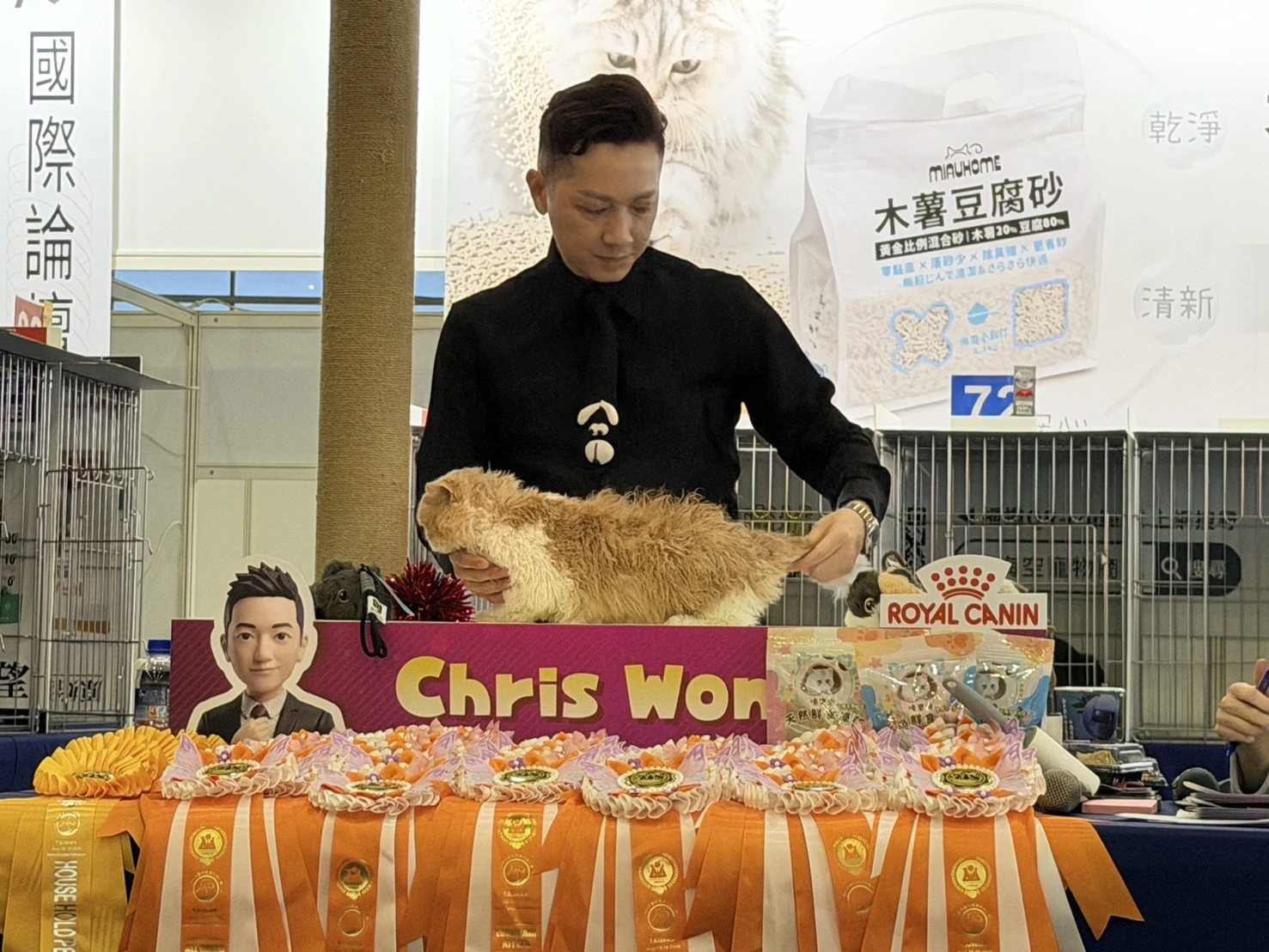 比賽花絮