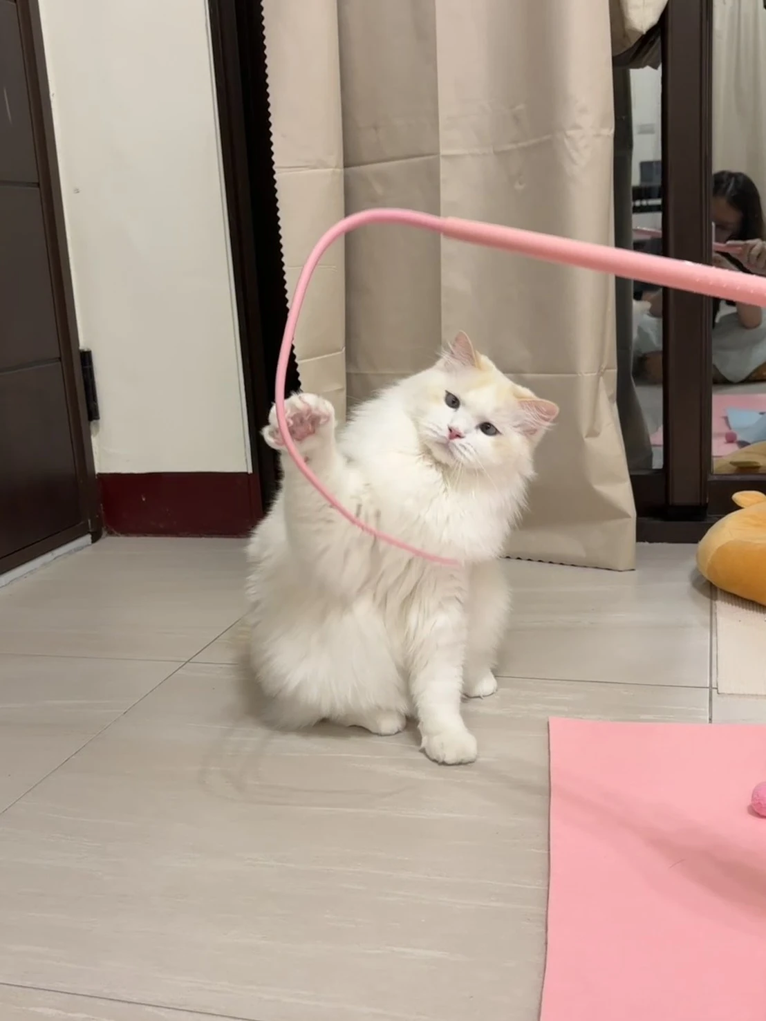家長分享