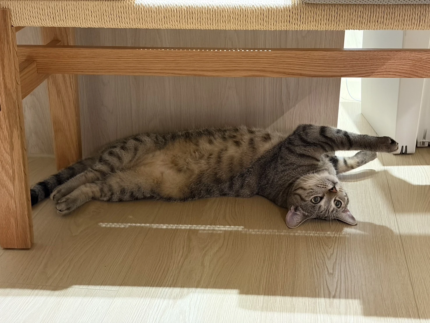家長分享