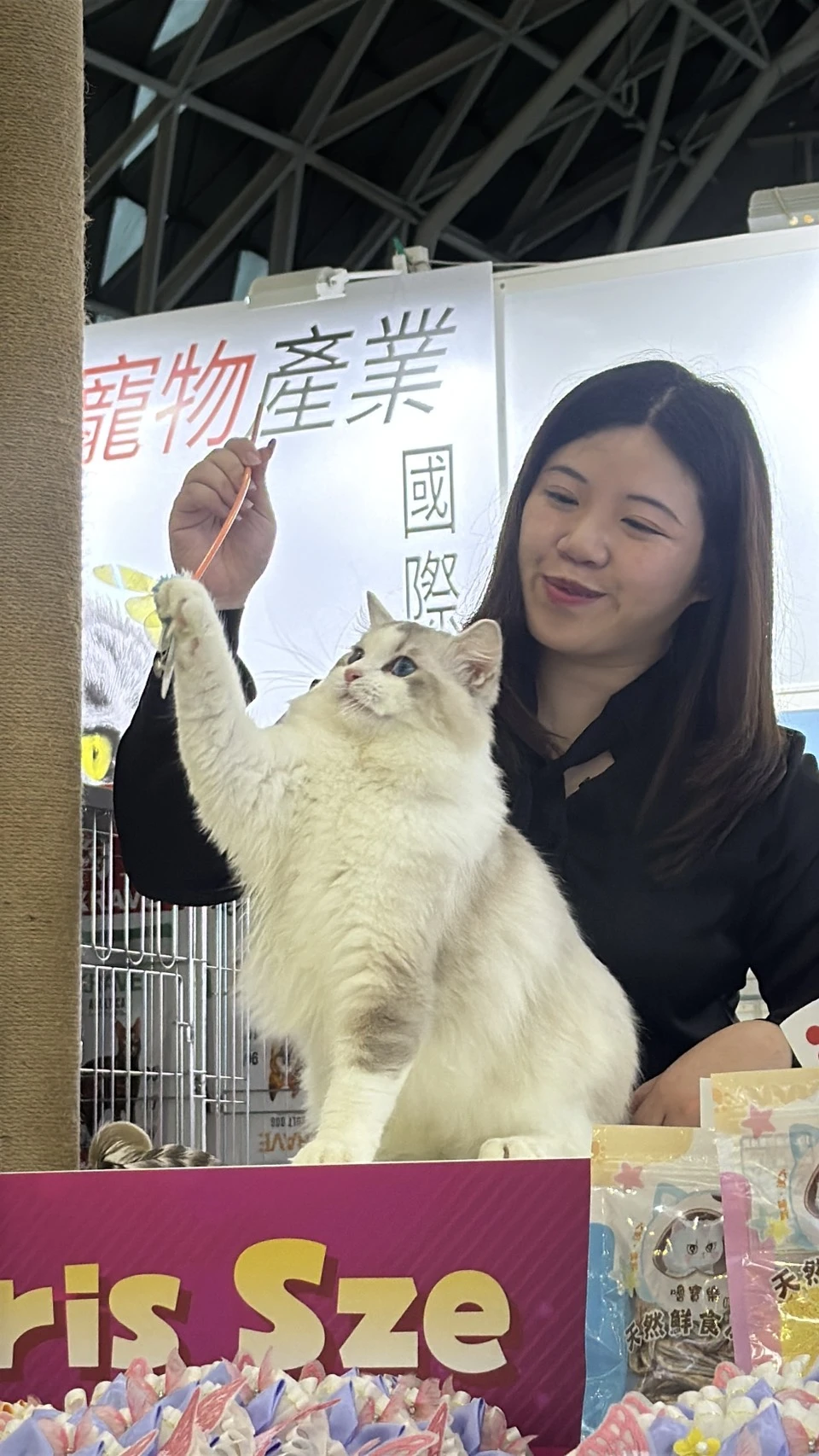 比賽花絮