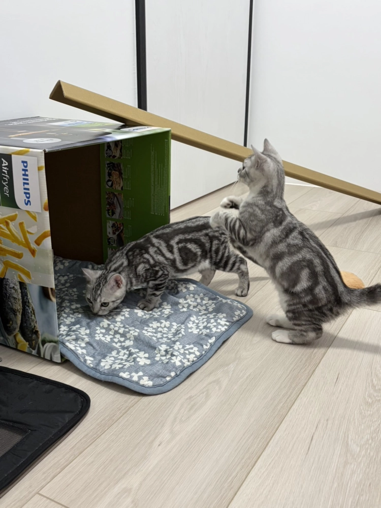 家長分享