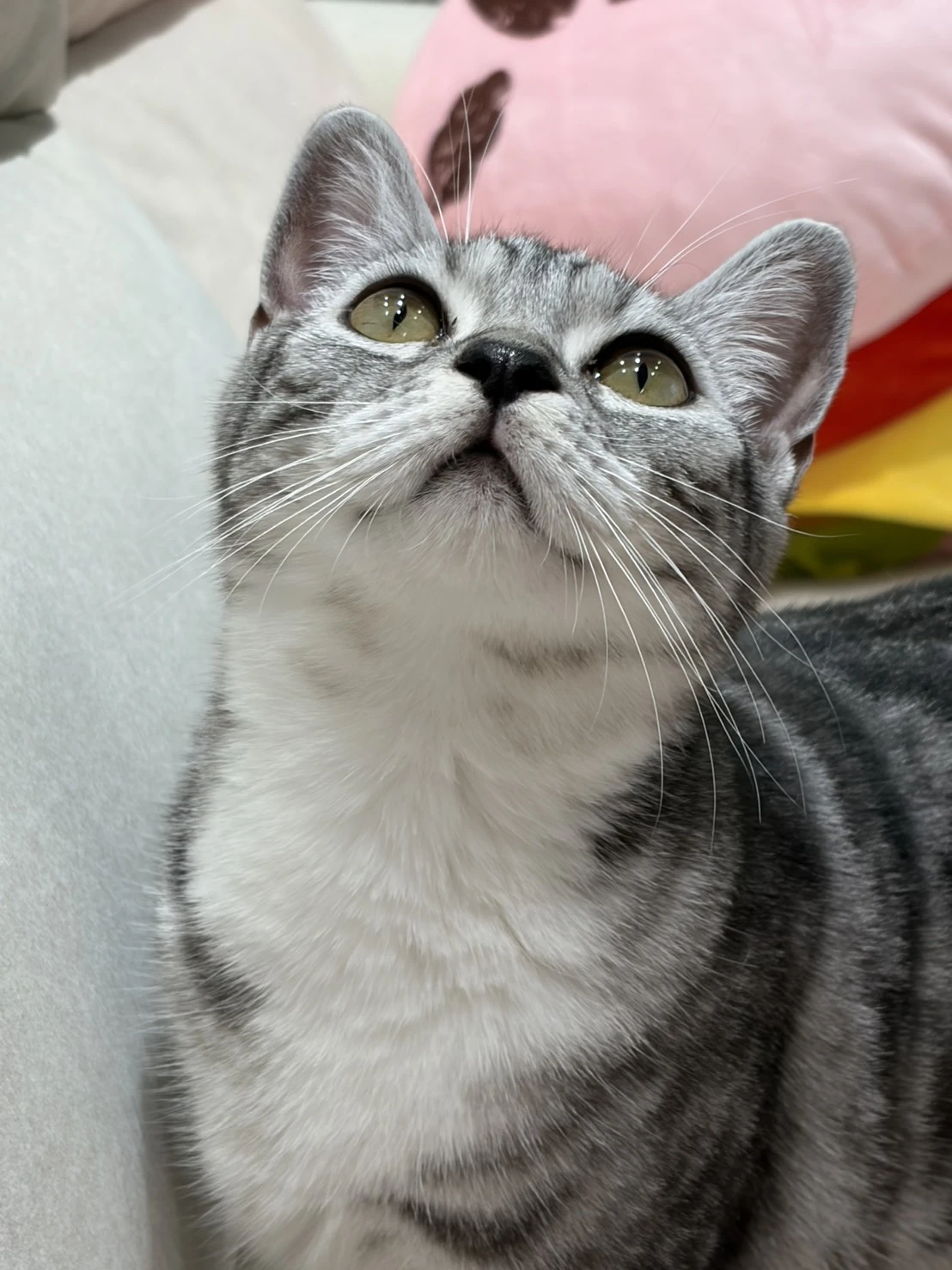家長分享